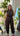 Imperial Jumpsuit